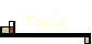 Teorija